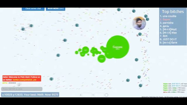 Агарио чашка петри.