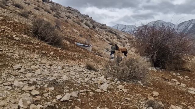 A Widow's Courage: Protecting Her Daughters in the Harsh Mountains" смотреть онлайн