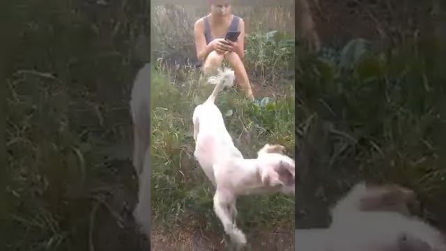 Вы хотели его увидеть?!!Вот и он смотреть онлайн