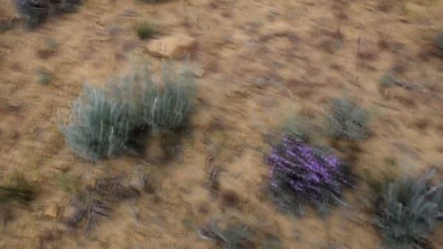 3-я ч. ШЕРКАЛА И ДОЛИНА ШАРОВ смотреть онлайн