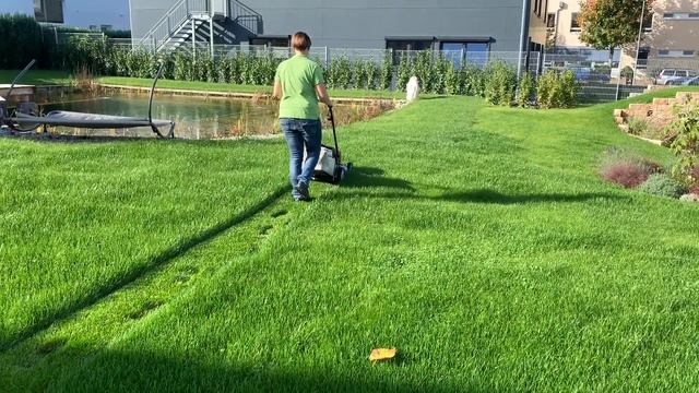 Akkurasenmäher Honda HRG 416 XB