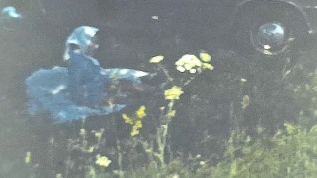 КОМАРЫ И КСЕНИЯ.MP4 смотреть онлайн