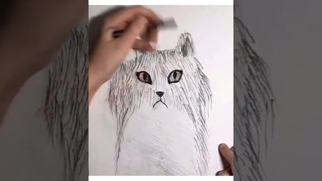 Как нарисовать кота простым карандашом смотреть онлайн