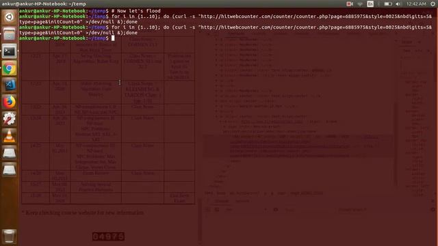 Brute forcing Hit Web Counter - Part 2 : Looping смотреть онлайн