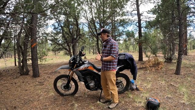 2023 Honda CRF300LS | First Impressions