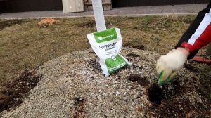 ВЕСЕННЯЯ ПОДКОРМКА МОЧЕВИНОЙ (КАРБАМИДОМ): ТЕХНИКА ВНЕСЕНИЯ УДОБРЕНИЯ | ВЕСЕННИЕ РАБОТЫ В САДУ