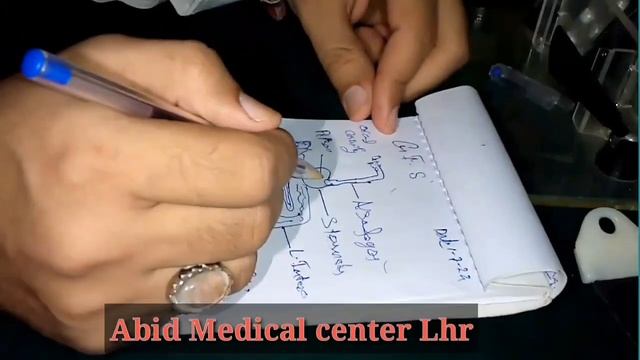 G.I.T system of Human ( Gestointestinal track) смотреть онлайн