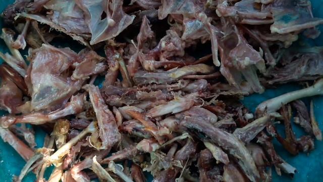 Лучшая Мясокостная подкормка для перепелов//Техасский перепел Хитрук Елена Украина смотреть онлайн