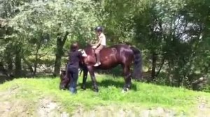 Первое обучение верховой езде