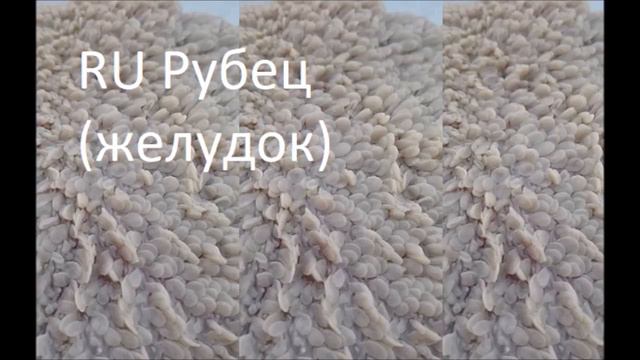 RU Рубец желудок смотреть онлайн