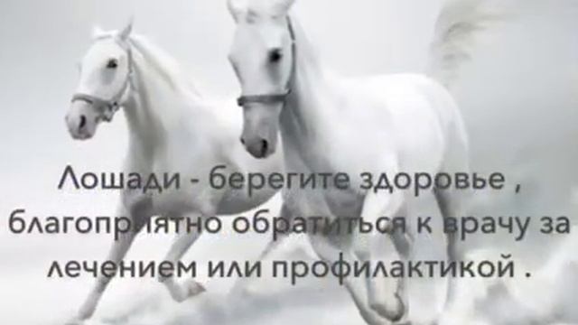 #Фен-шуй #прогноз на #июнь #месяц #Белой #лошади смотреть онлайн