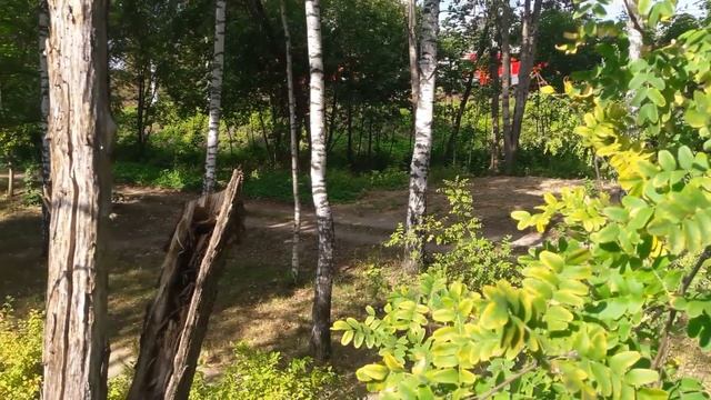 Строительство одноэтажного дома из газобетона. Проект Загорянка. Первый ряд и выбор газоблока. 0+ смотреть онлайн