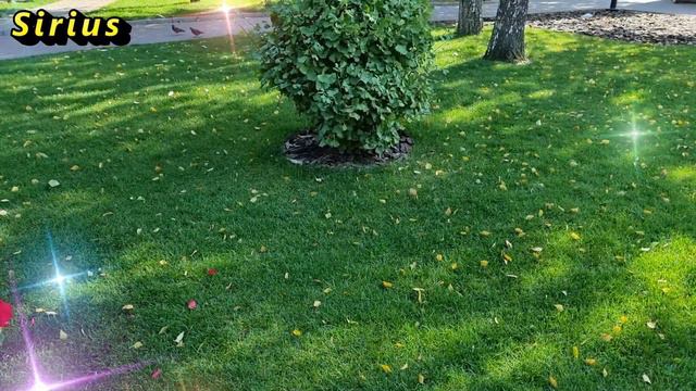 Код богатства- что это такое смотреть онлайн