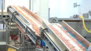 ВСЯ ПРАВДА о колбасе! Илья Лазерсон на заводе «Черкизово»