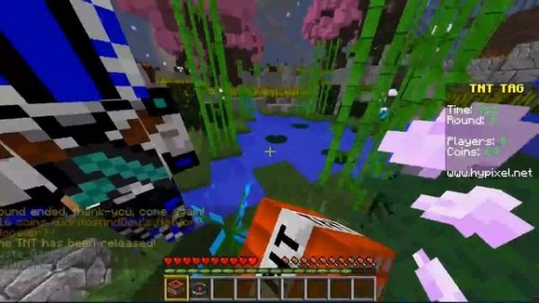 Minecraft-hypixle server with friends-[tnt tag]