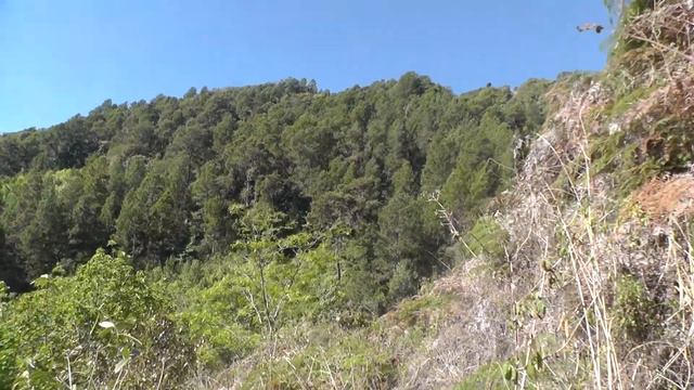 Вид гор в районе водопадов Ла Герра. смотреть онлайн