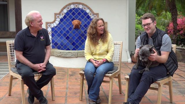 Laura Stinchfield The Pet Psychic ® talks with Monty the French Bulldog on Animal Zone S6 E8 смотреть онлайн