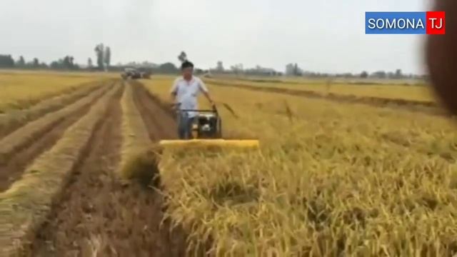 БОГДОЙ УРИШНИ ТОМОША КИЛИНГ ГУЛАКАНДОЗ ЖРАСУЛОВ смотреть онлайн