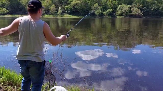В проводку на поплавок на Двину ходил. Как удочка фидер спасла смотреть онлайн