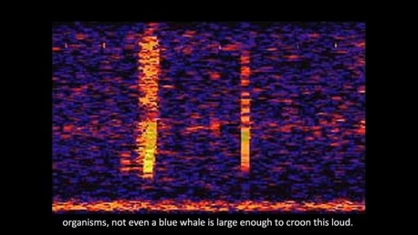 The Bloop: A Mysterious Sound from the Deep Ocean | NOAA SOSUS