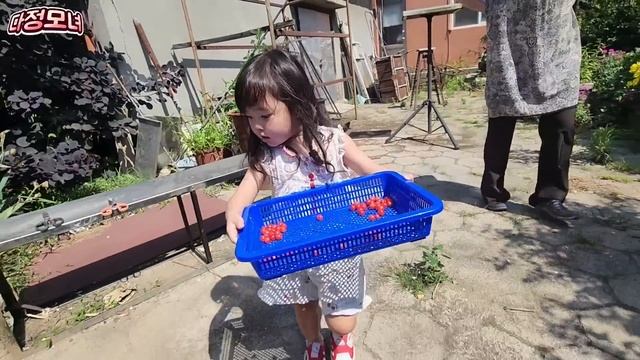 [SUB] 할머니 집 마당에 있는 앵두 따서 할아버지 할머니와 나눠먹는 루다! ? смотреть онлайн