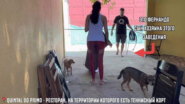 Переезд в Бразилию // Первая неделя в Куябе - впечатления, люди, места смотреть онлайн