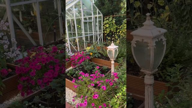 Как красиво солнце на закате лета смотреть онлайн