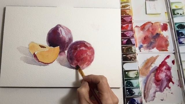 Watercolor Sketch 27 / Plums 水彩スケッチ27 / すもも смотреть онлайн