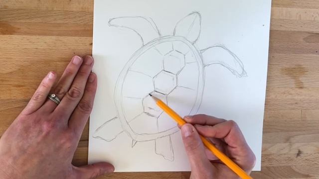 How to Draw a Sea Turtle смотреть онлайн