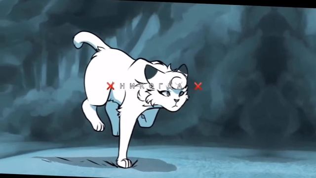 Клип Коты воители НИКОГДА(чо) смотреть онлайн