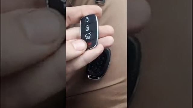 Ключ Hyundai Sonata LPI смотреть онлайн