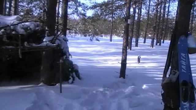 Вылазка на лыжах #2 смотреть онлайн