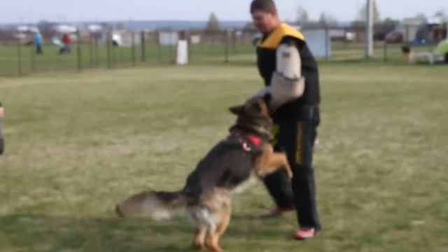 Сухотин, но, лобовая атака смотреть онлайн