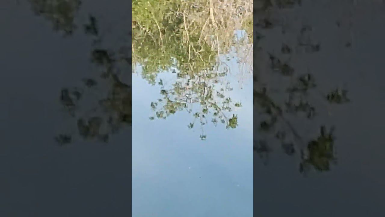 Рыбалка на удочку с поплавком смотреть онлайн