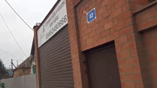 Стрижка американского кокер спаниеля смотреть онлайн