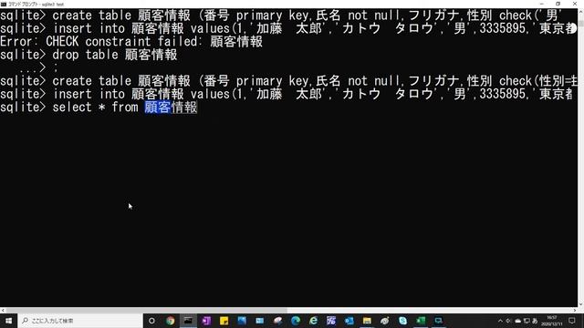 【SQLite】第三十回　CREATE文 列に制約を付ける PRIMARY KEY制約、CHECK制約、NOT NULL制約★ смотреть онлайн