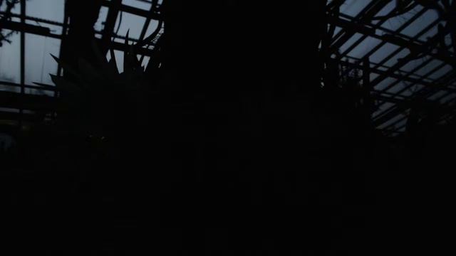 Ботанический сад Петра Великого смотреть онлайн