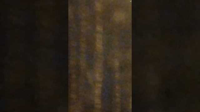 Увидели НЛО на Дмитровском шоссе смотреть онлайн