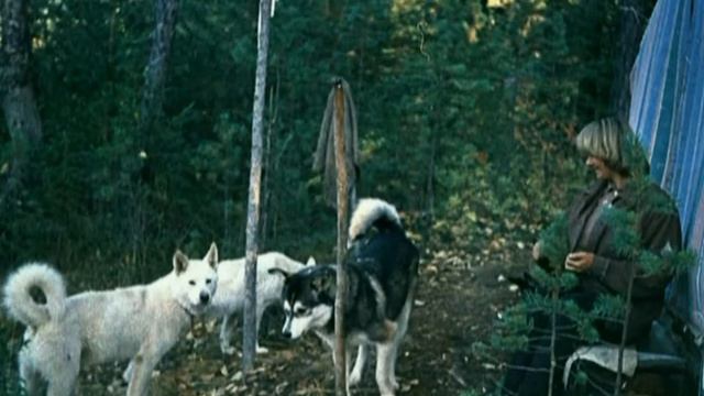 1980 год Якутия Олекминский р он Реки Олекма, Чара смотреть онлайн