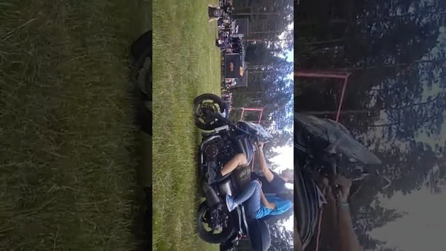 Луга Штоль 2019 смотреть онлайн