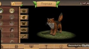 Взлом Cat sim на кодовой мнимый уровень, Уровень больше бесконечности.
