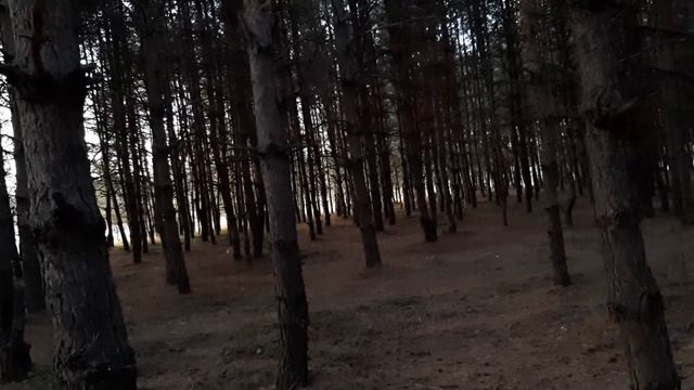 Ложь поднебесной смотреть онлайн