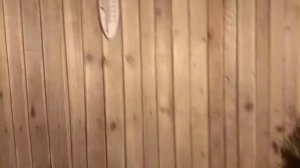 Баня 2.5 --3м  своими руками