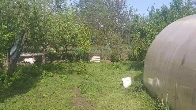#Ползучие #твари на #Кубани ?♀️? Наш сад 27 апреля 2022 г. смотреть онлайн
