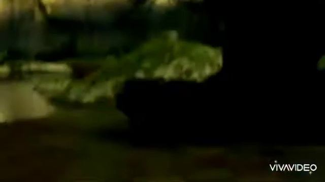 Беззубик/одиночество/