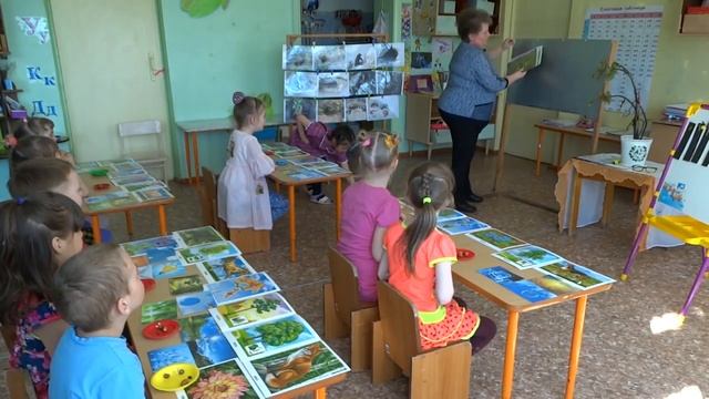 Ознакомление с окружающим природным миром "«Как живут растения и животные» смотреть онлайн