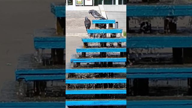 Жара, и солнышко в зените,
Прохладой манит к себе парк,
На птичек взгляды обратите смотреть онлайн