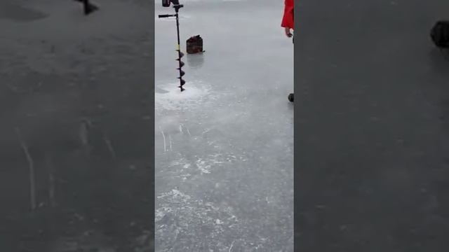 Ловля судака на "подставушки".Fishka-club. Ахтуба, Селитренное 19.01.2019 смотреть онлайн