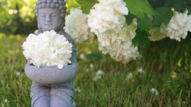 Аффирмации утром смотреть онлайн