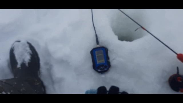 (ПРАКТИК 8) Судак в глухозимье отказался клевать на ратлины смотреть онлайн